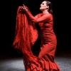 FLAMENCO. CORAZÓN Y ALMA