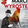 KONCERT ODWOŁANY